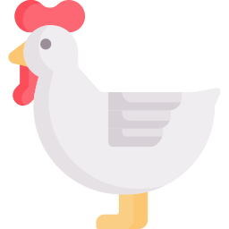 poule Icône