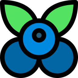 Blueberry icon