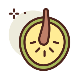 빵나무 icon