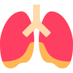 płuco ikona