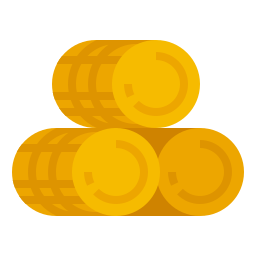 Coins icon