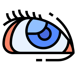 目 icon