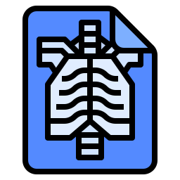 X ray icon