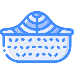 Salmon icon