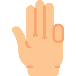 Gestures icon