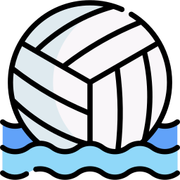 ballon de volleyball Icône