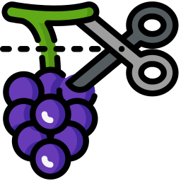 trauben icon