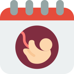 Birth icon