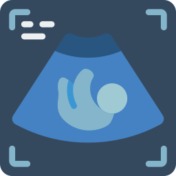 Ultrasound icon