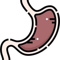 stomaco icona