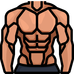 筋肉 icon