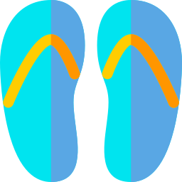 flip flops icon