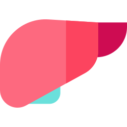 Liver icon