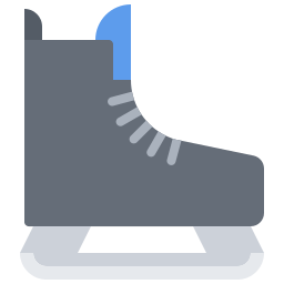 Skates icon