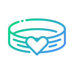 Bracelet icon