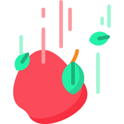 apfel icon