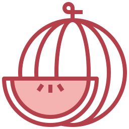 Watermelon icon