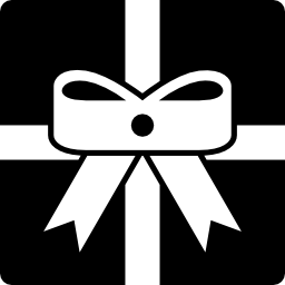 Christmas present icon