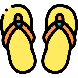 Flip flops icon