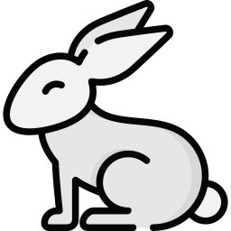 Rabbit icon