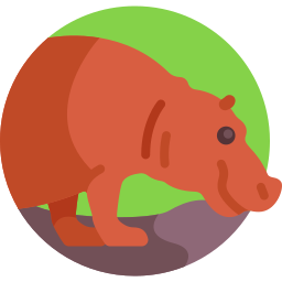 hippopotame Icône