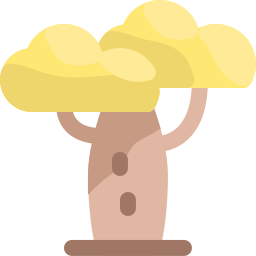 baobab icoon