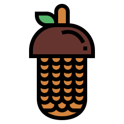 Pine cone icon