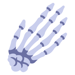 huesos de la mano icono