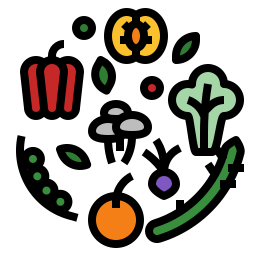 biologisch voedsel icoon