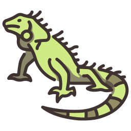 Iguana icon