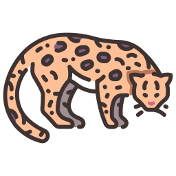 Wildcat icon