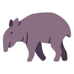 tapir icoon