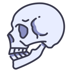 Skull icon