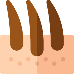 皮膚科 icon