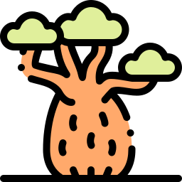 baobab icona