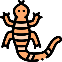 lagarto icono