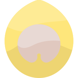 bola de masa hervida icono