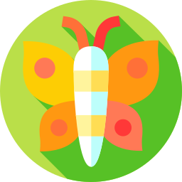 Butterfly icon