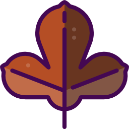 Leaf icon