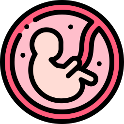 płód ikona