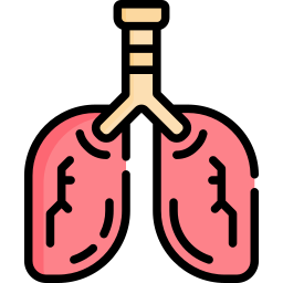 Lung icon