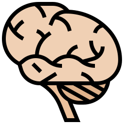 Мозги иконка