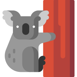 koala icoon