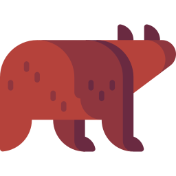 wombat Ícone