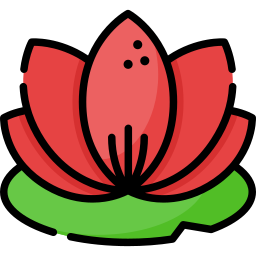 Lotus icon