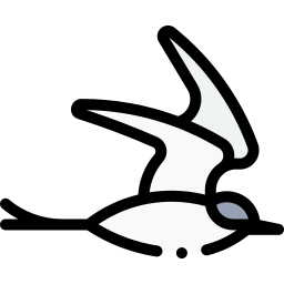 Arctic tern icon