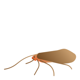 pulga Ícone