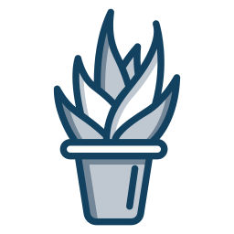 Succulent icon