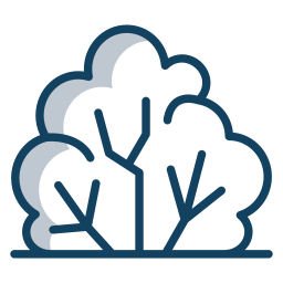 Shrub icon