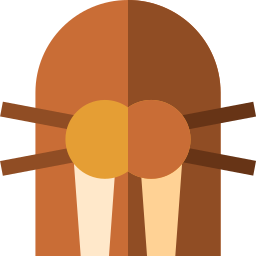 seelöwe icon